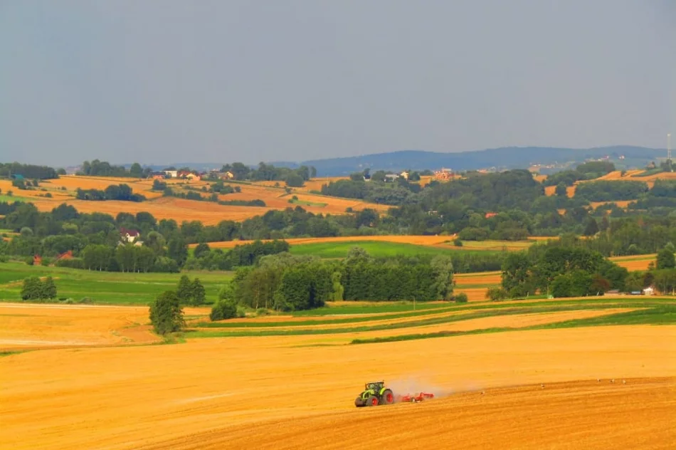 Od ziarnka do garnka - zdjęcie 12