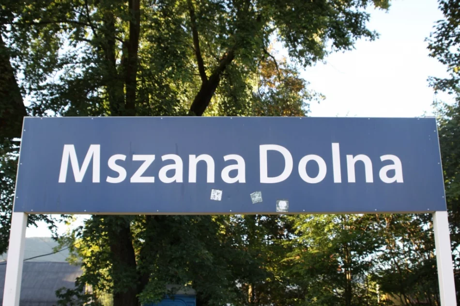 O roli kolei dla rozwoju regionu - zdjęcie 10