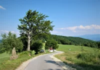 Kolejne wędrówki z historią Limanowszczyzny - zdjęcie główne