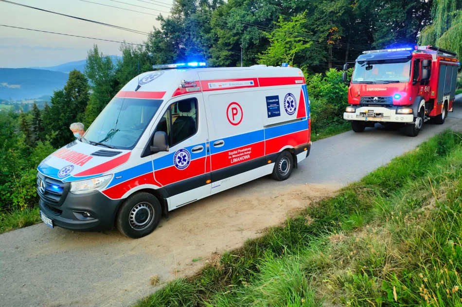 Samochód zjechał z drogi i wywrócił się, jedna osoba poszkodowana - zdjęcie 2