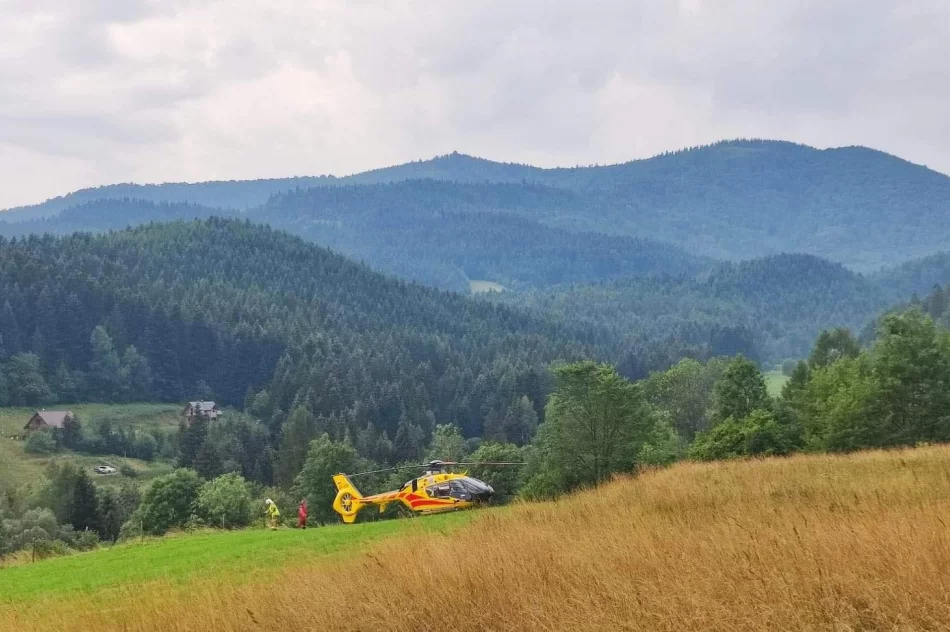 Nie żyje 6-latek z Ukrainy. Spadł z II piętra - zdjęcie 2