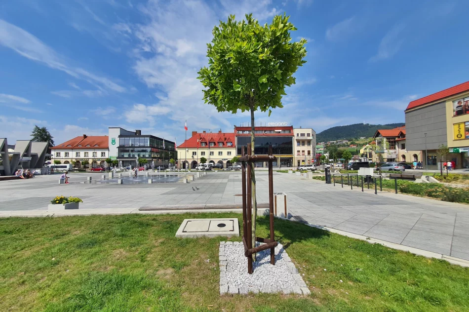 Internauci: miejski rynek "przypomina patelnię" - zdjęcie 2