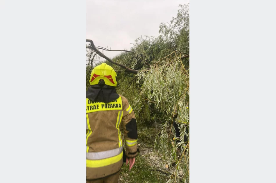Wiatr wepchnął ścianę szczytową do budynku - zdjęcie 2