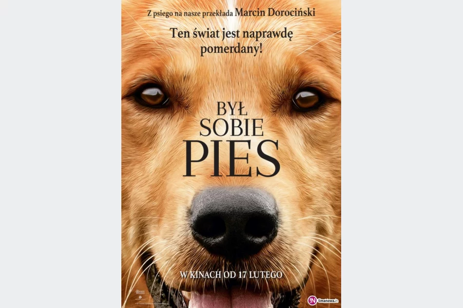 Nowości w kinie Klaps - zdjęcie 2