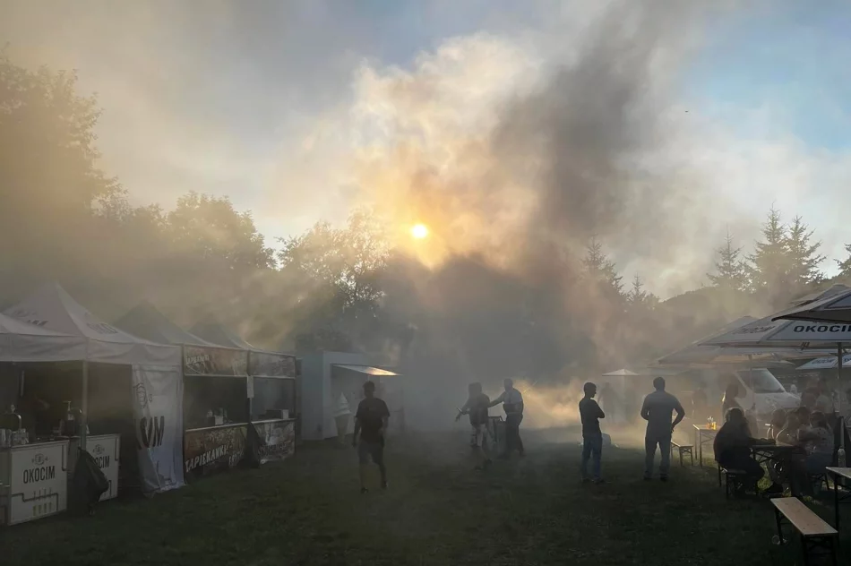 Pożar pojazdu podczas gminnej imprezy - zdjęcie 8