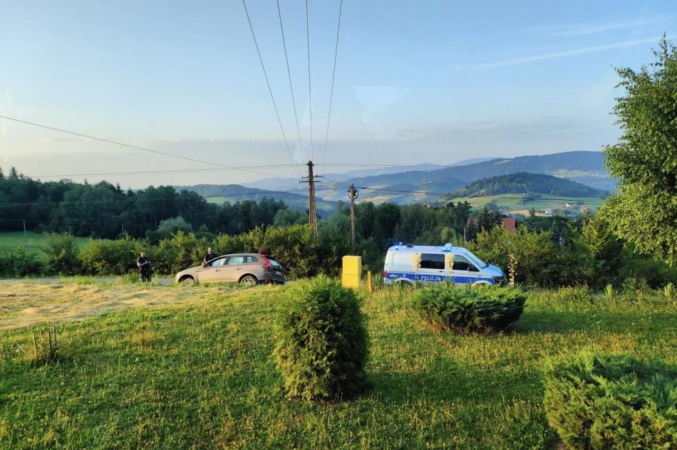 Zaśnięcie za kierownicą przyczyną kolizji - zdjęcie 2
