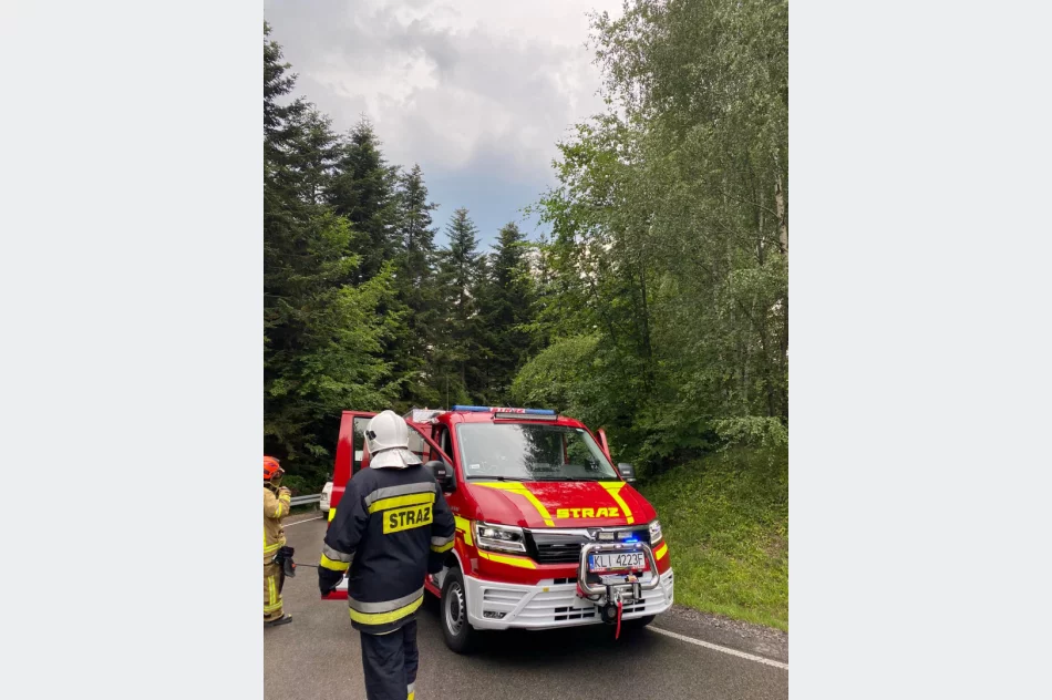 Harley uderzył w Volkswagena - zdjęcie 4