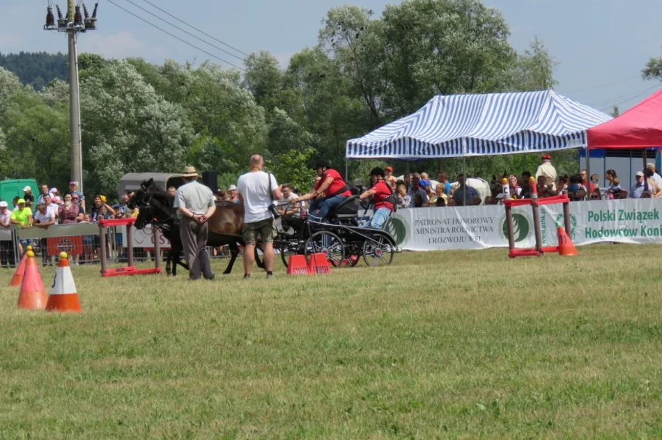 Rywalizowały 33 zaprzęgi z południowej Polski - zdjęcie 8