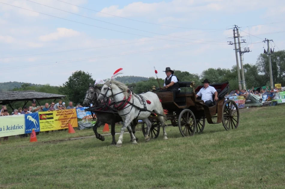 Rywalizowały 33 zaprzęgi z południowej Polski - zdjęcie 11