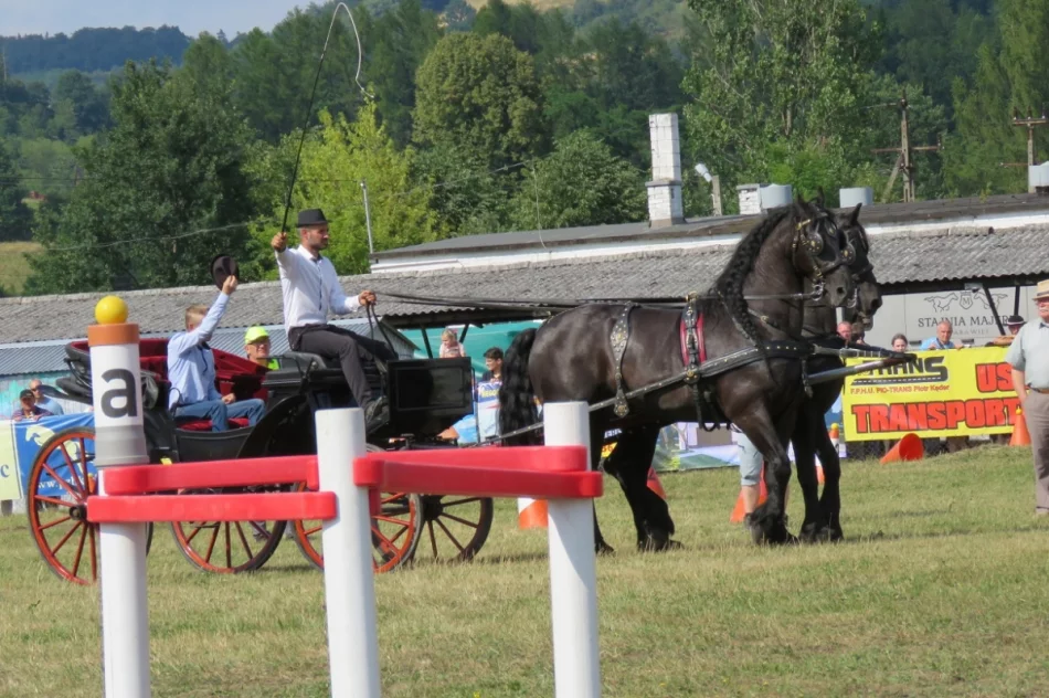 Rywalizowały 33 zaprzęgi z południowej Polski - zdjęcie 12