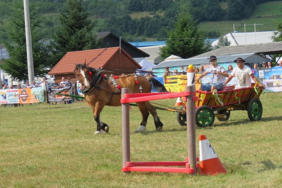 Rywalizowały 33 zaprzęgi z południowej Polski - zdjęcie 14