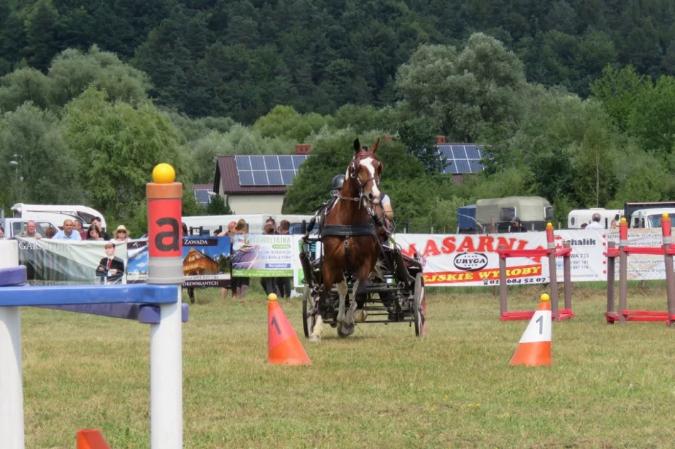 Rywalizowały 33 zaprzęgi z południowej Polski - zdjęcie 16