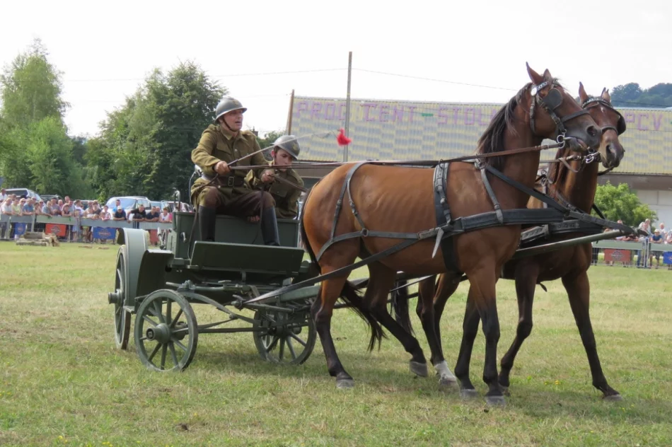 Rywalizowały 33 zaprzęgi z południowej Polski - zdjęcie 17
