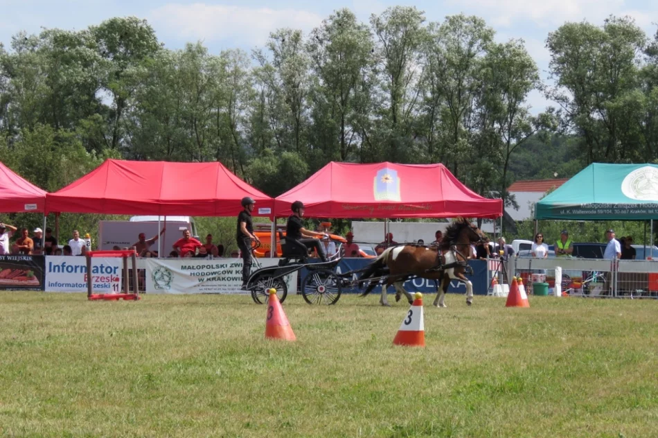 Rywalizowały 33 zaprzęgi z południowej Polski - zdjęcie 20
