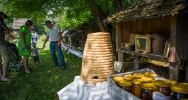 Zaproszenie na "Przędzenie w Rodzinnym Skansenie" - zdjęcie 4