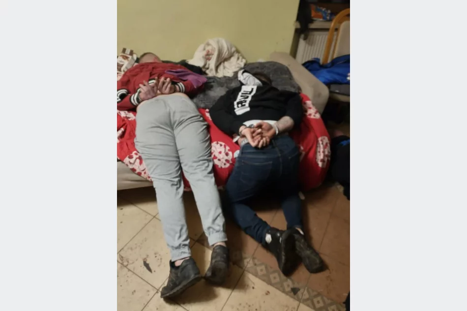 Zatrzymani za rozboje, pobicia i tortury - zdjęcie 2