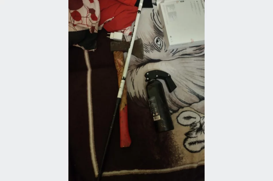 Zatrzymani za rozboje, pobicia i tortury - zdjęcie 3