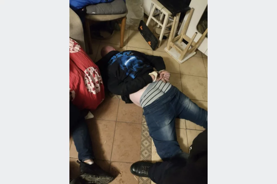 Zatrzymani za rozboje, pobicia i tortury - zdjęcie 4