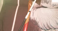 Zatrzymani za rozboje, pobicia i tortury - zdjęcie 5