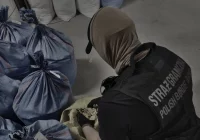 Kolejny nielegalny biznes udaremniony  - zdjęcie główne