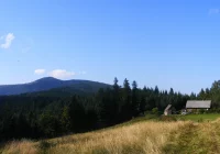 Spacery z lokalną historią - zdjęcie główne