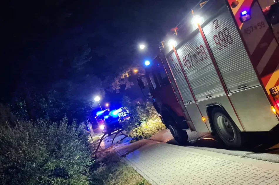 BMW wypadło z drogi - zdjęcie 2