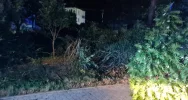 BMW wypadło z drogi - zdjęcie 4