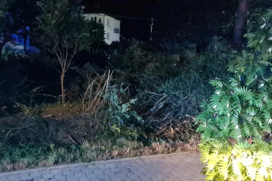 BMW wypadło z drogi - zdjęcie 4