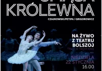 „ŚPIĄCA KRÓLEWNA” - transmisja NA ŻYWO baletu z Moskwy 22 stycznia w kinie Klaps! - zdjęcie główne