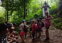 Wakacje w Muzeum Regionalnym Ziemi Limanowskiej - zdjęcie główne