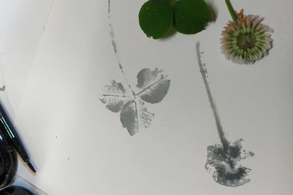 Wakacje w Muzeum Regionalnym Ziemi Limanowskiej - zdjęcie 3