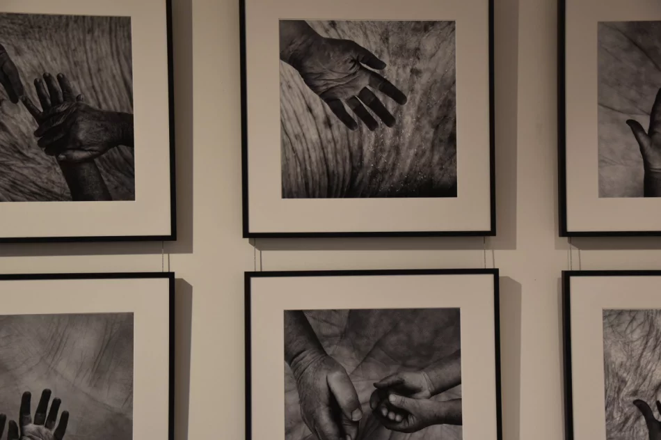 Trzy różne spojrzenia – wernisaż wystawy pt. ,,Widzenia” w Miejskiej Galerii Sztuki - zdjęcie 4