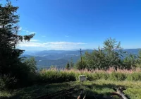 Prognoza pogody na 31 tydzień roku - pogodnie i ciepło - zdjęcie główne