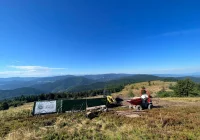 Internauci protestują i podpisują petycję - zdjęcie główne