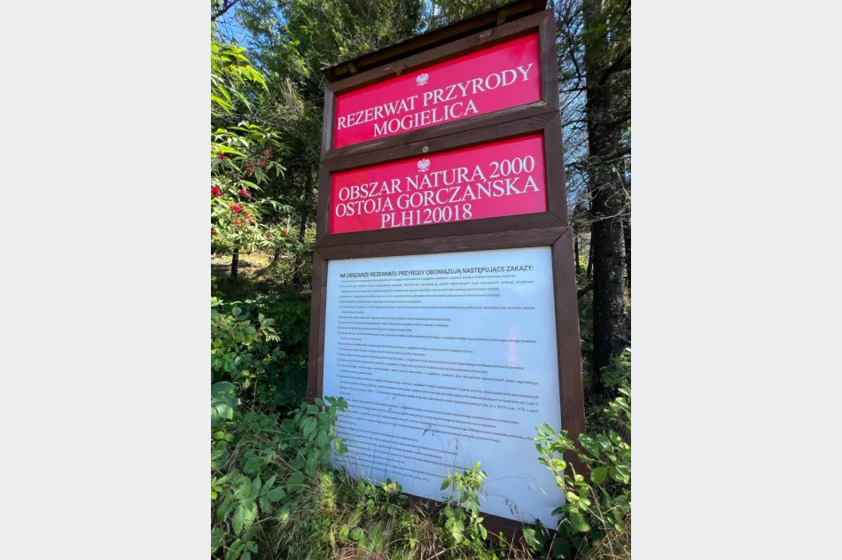 Skandal na Mogielicy! Na najpiękniejszej polanie powstaje budynek - zdjęcie 8