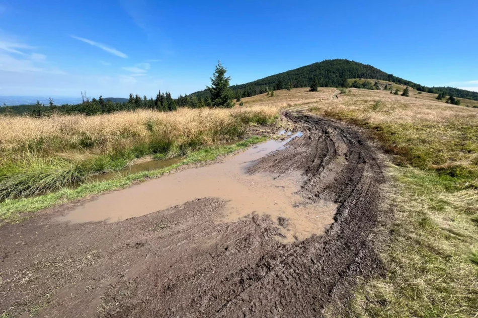 Skandal na Mogielicy! Na najpiękniejszej polanie powstaje budynek - zdjęcie 9
