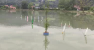 Zorganizowano regaty na stawie rekreacyjnym - zdjęcie 2