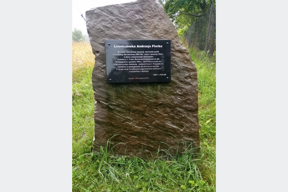 Wędrowali wojennymi śladami - zdjęcie 9