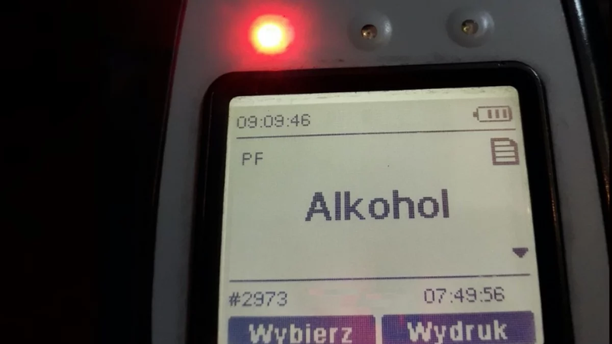 Nietrzeźwa 21-latka wjechała do rowu