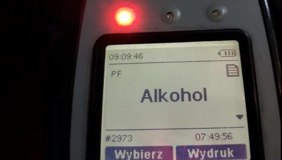 Nietrzeźwa 21-latka wjechała do rowu - zdjęcie 1