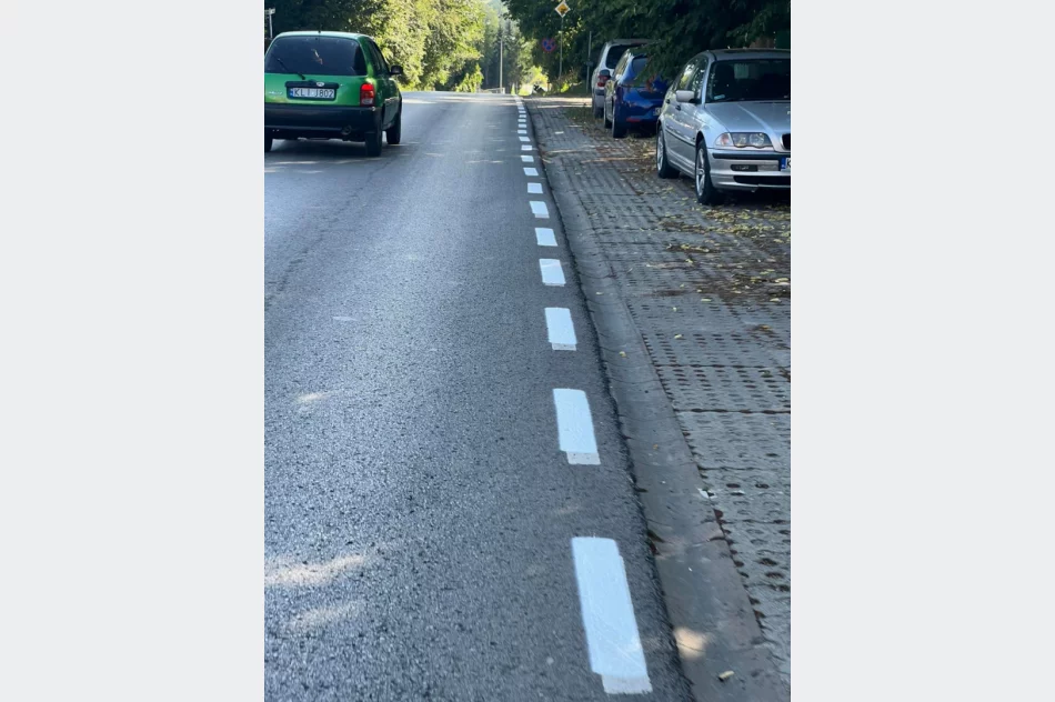 Efekt odnowienia linii na drodze - zdjęcie 5