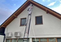 Coraz więcej interwencji ws. groźnych owadów - zdjęcie główne