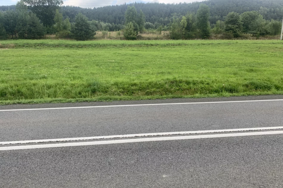 Miejsce pod reklamę - zdjęcie 3