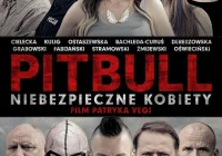 Premiera w kinie Klaps - „Pitbull. Niebezpieczne kobiety” na ekranie od 11 listopada! - zdjęcie główne