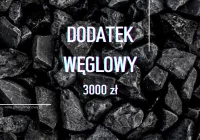 Dodatek węglowy - zdjęcie główne