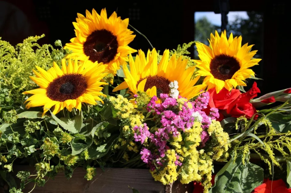 Święto plonów z atrakcjami - zdjęcie 12