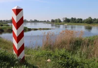 Ekspert: wzrost zasolenia, pH i zawartości tlenu uruchomił reakcję łańcuchową ekosystemu - zdjęcie główne