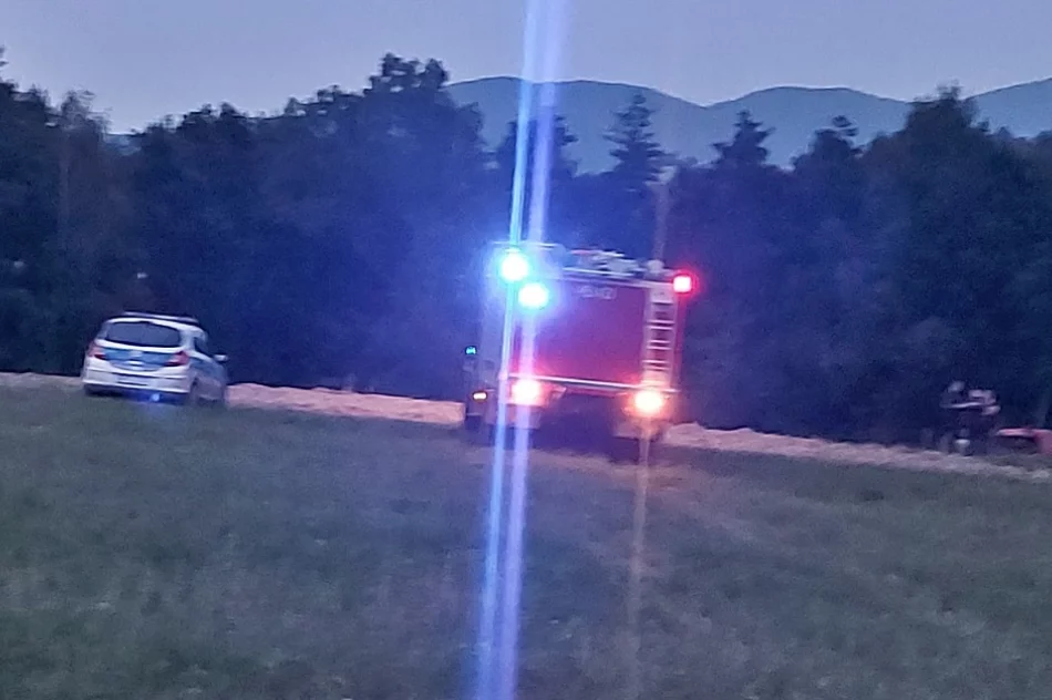 Przygnieciony 15-latek zabrany przez LPR - zdjęcie 2