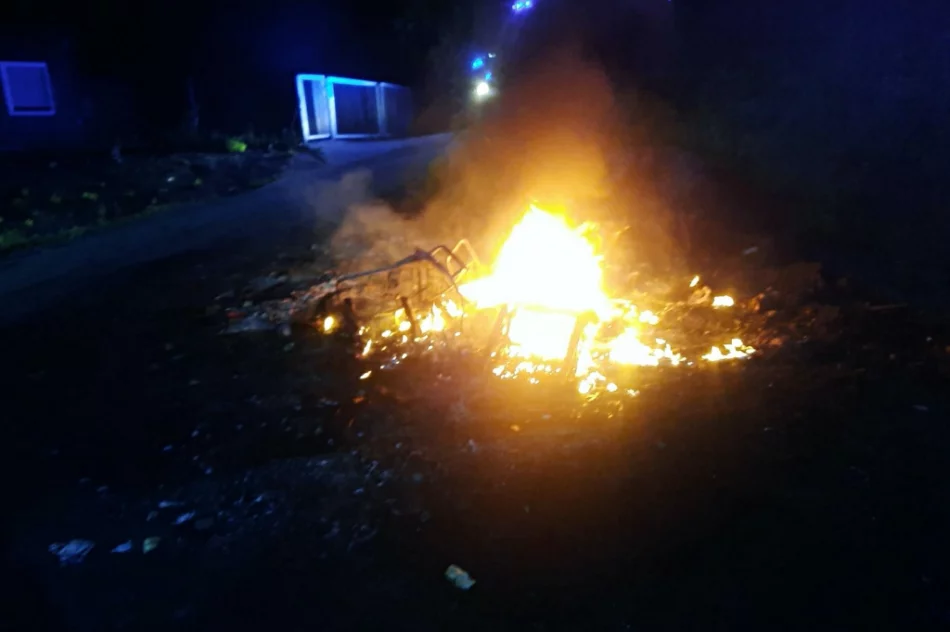 Nasila się problem "ognisk" na osiedlu - zdjęcie 4