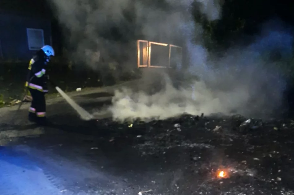 Nasila się problem "ognisk" na osiedlu - zdjęcie 5